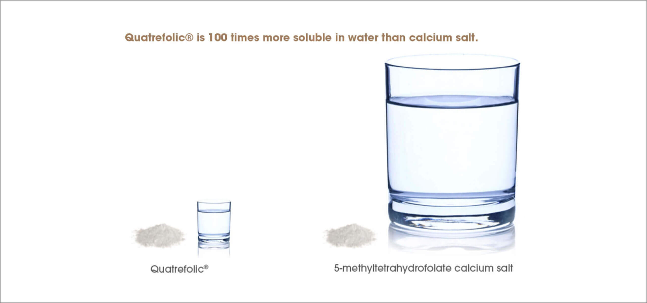 folate-solubility-quatrefolic