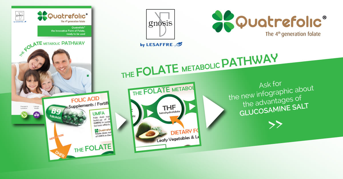 quatrefolic-innovative-folate-pathway