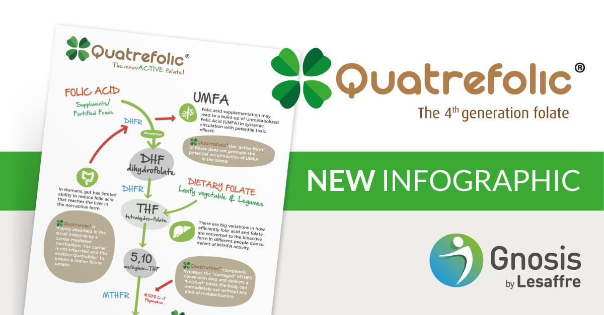 quatrefolic-infographic