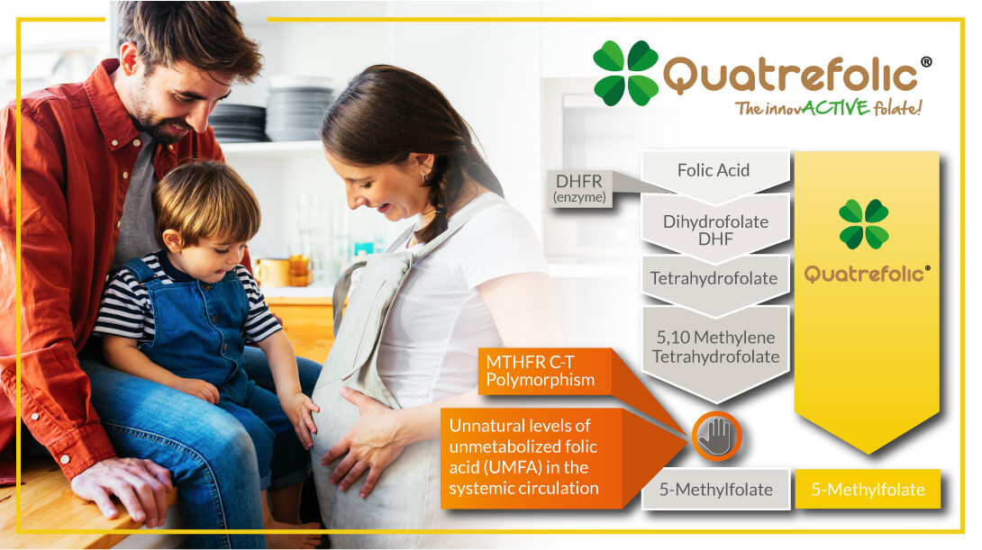 quatrefolic-pregnancy-difference