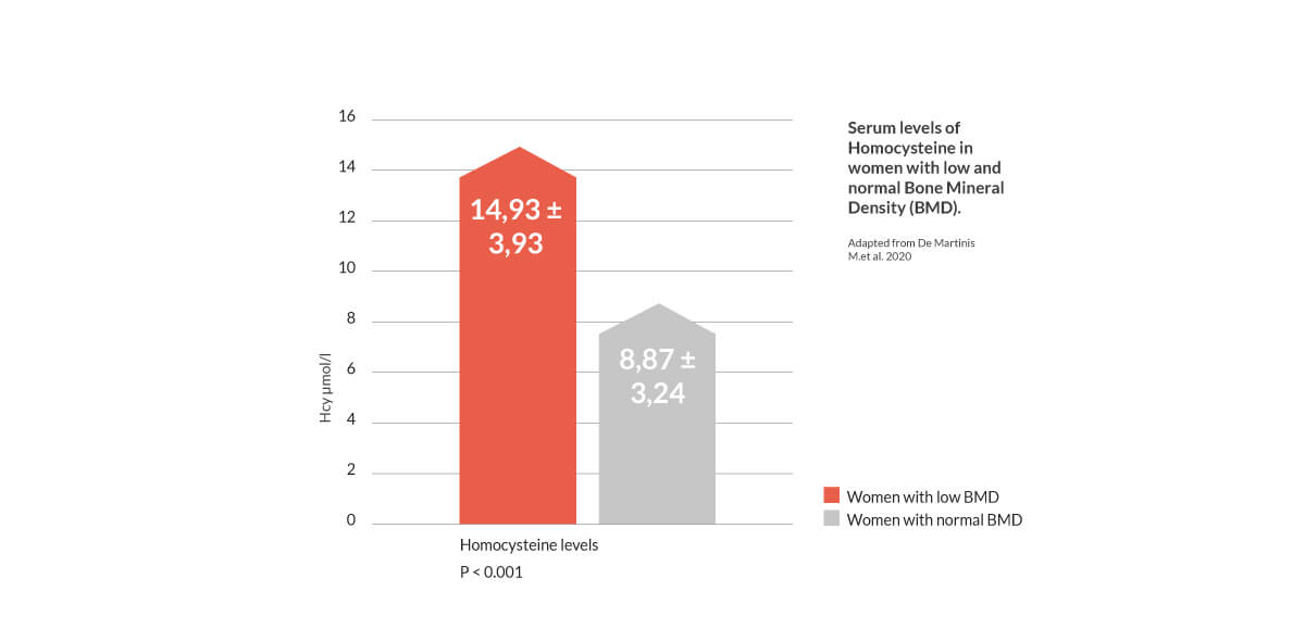 2charts-serum-homocysteine-women-BMD