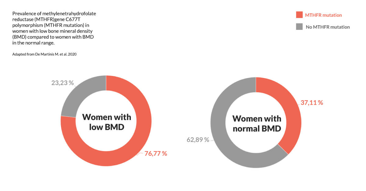 chart1-women-BMD-mthrf-mutation