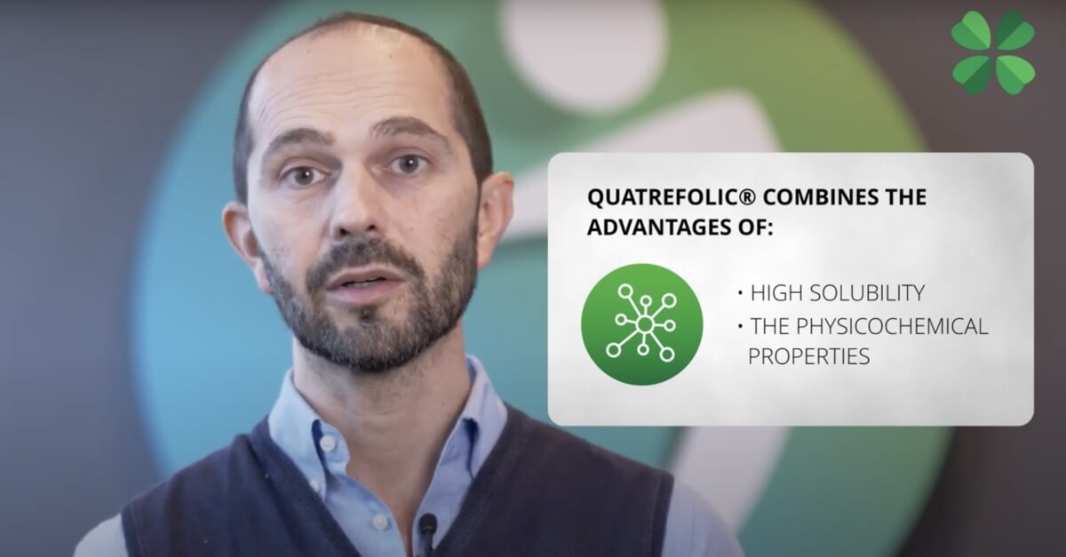 quatrefolic solubility video