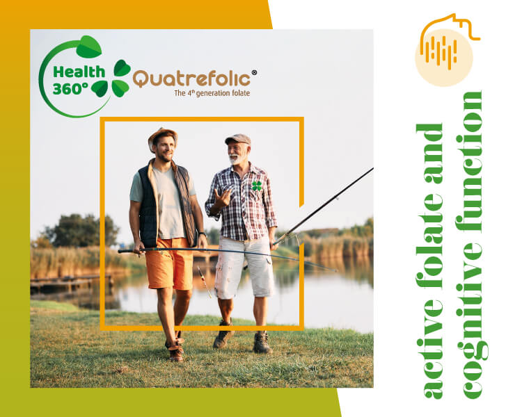 Quatrefolic_360_cognition