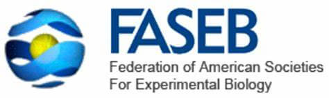 FASEB Science Research Conference B Vitamins and One Carbon Metabolism​